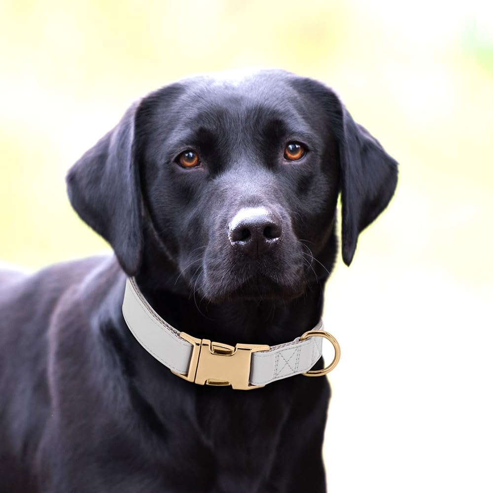 PET ARTIST Soft Leather Dog Collar for Medium Dogs, Bright & Classic Nylon Padded Heavy Duty Dog Collar Leather with Quick Relea